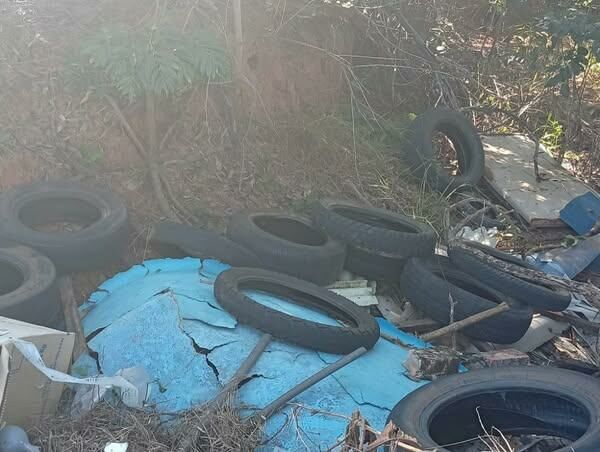 Imagem de compartilhamento para o artigo Prefeitura realiza limpeza de área com descarte irregular de lixo no Assentamento Santa Fé, em Alcinópolis da MS Todo dia